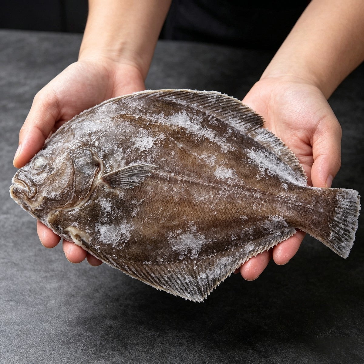 Person holding a whole raw halibut above a grey counter